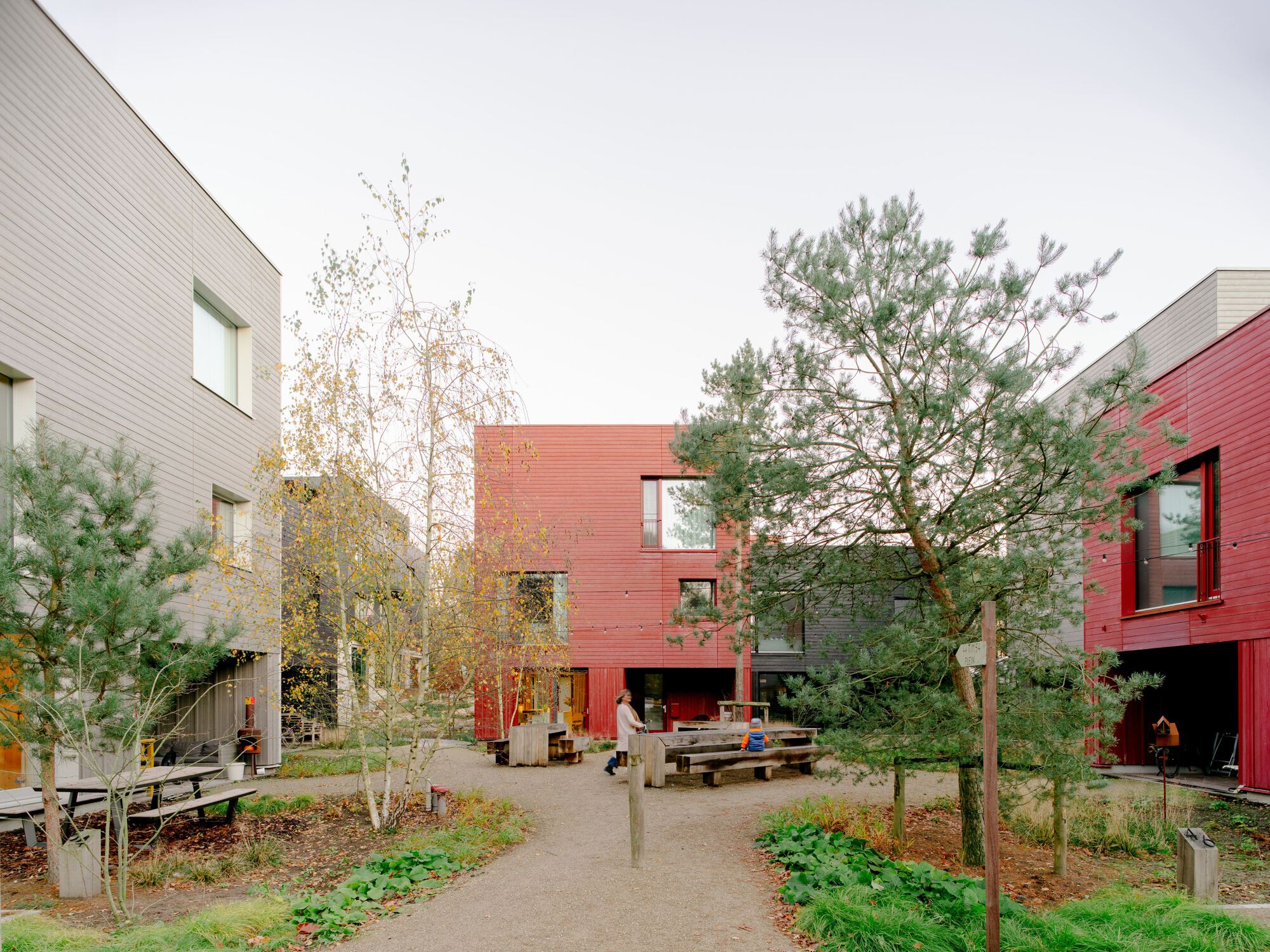 普通木材丨荷兰阿默斯福特丨Space&Matter-18