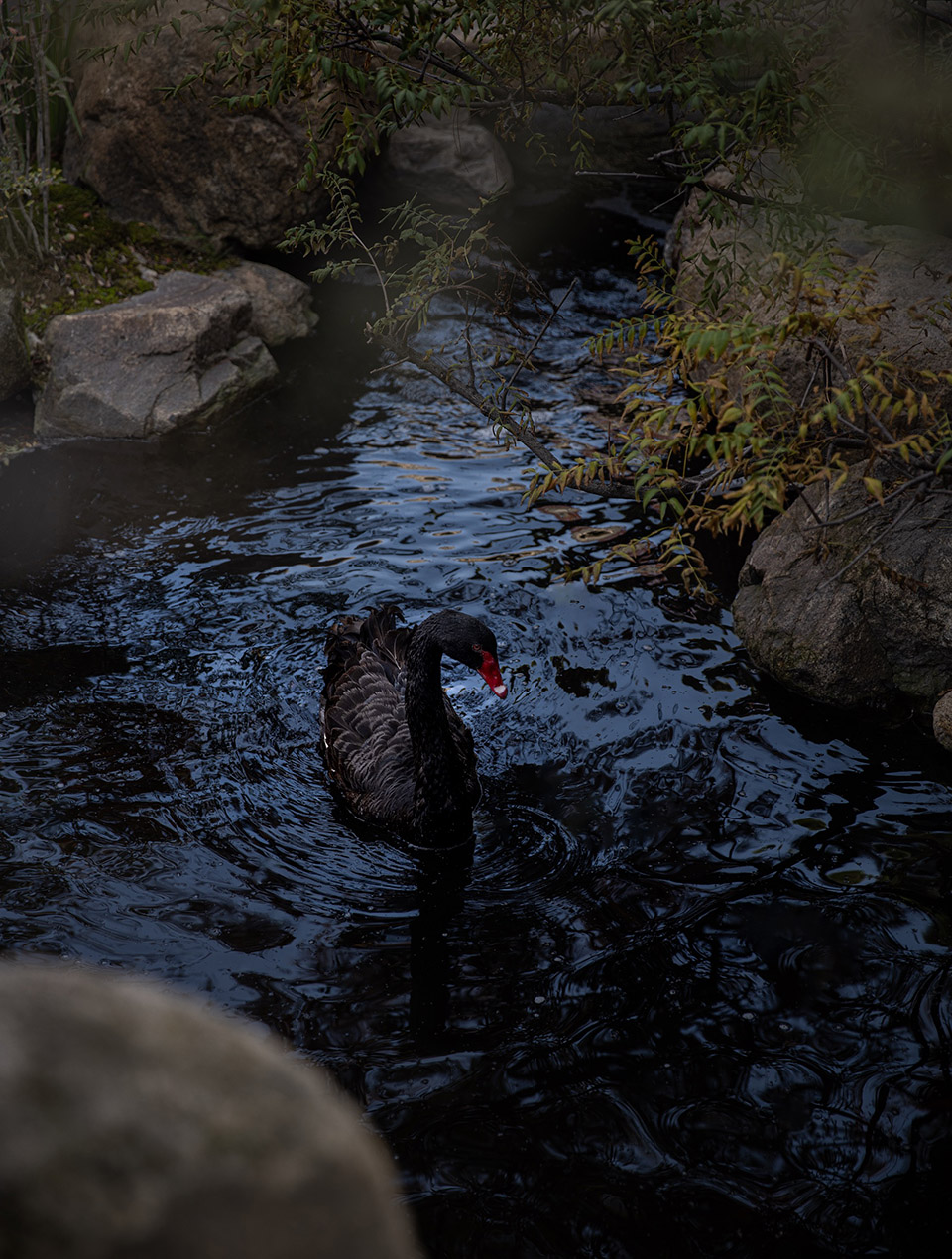 春山望 · 山系火锅丨中国大同丨空山集（重庆）室内设计-74