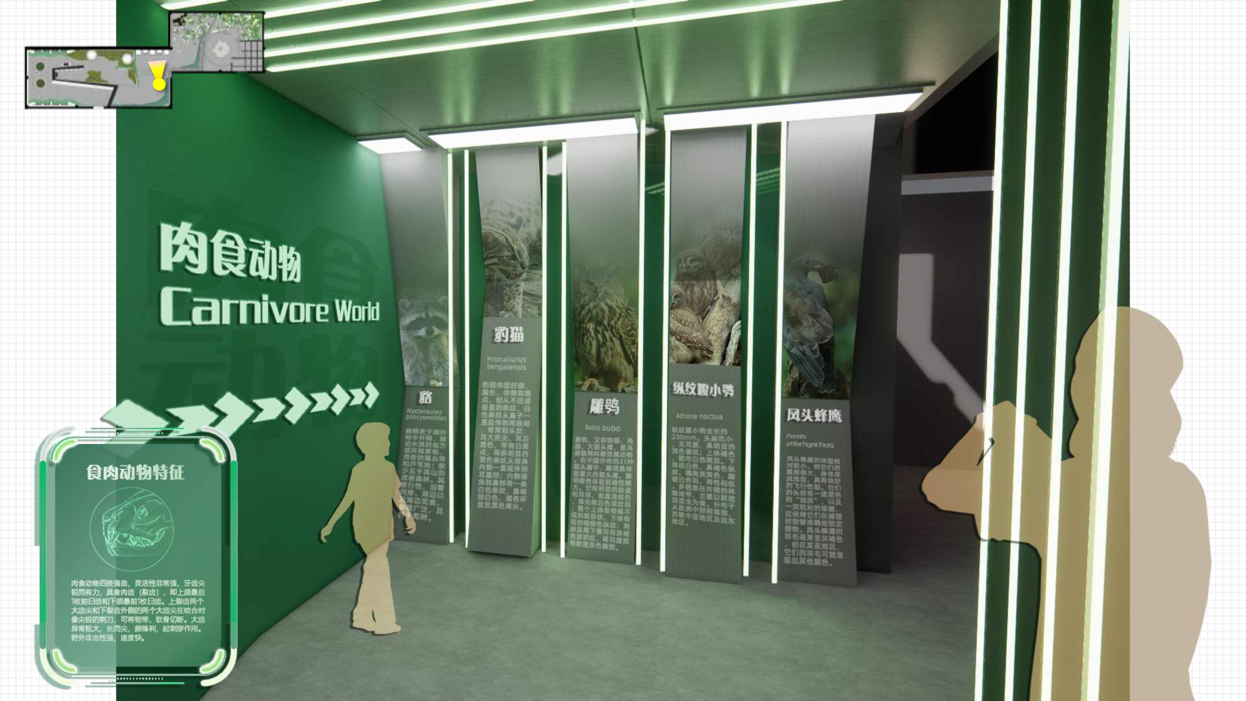 “链”接未来-生物多样性主题展览-24