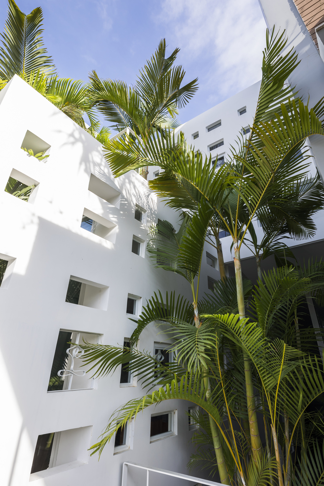 微风轻拂，光影共舞——自然之韵室内设计赏析-11