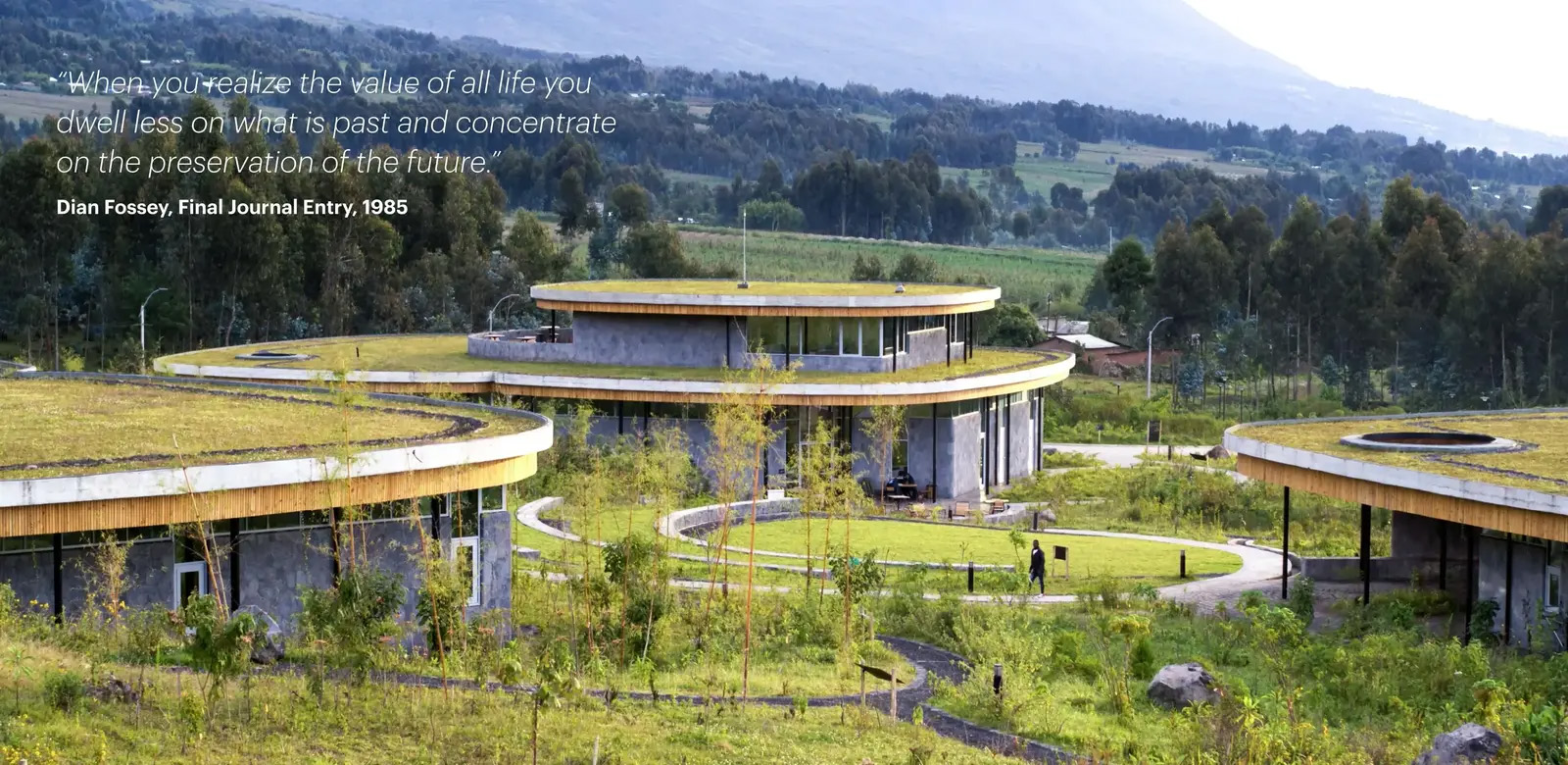 戴安·弗西基金会 & 艾伦·德詹尼丝园区丨卢旺达丨MASS Design Group + TENxTEN-7