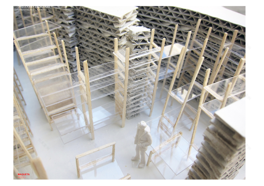 Orchids and Ladders SERRANO+BAQUERO Arquitectos-42