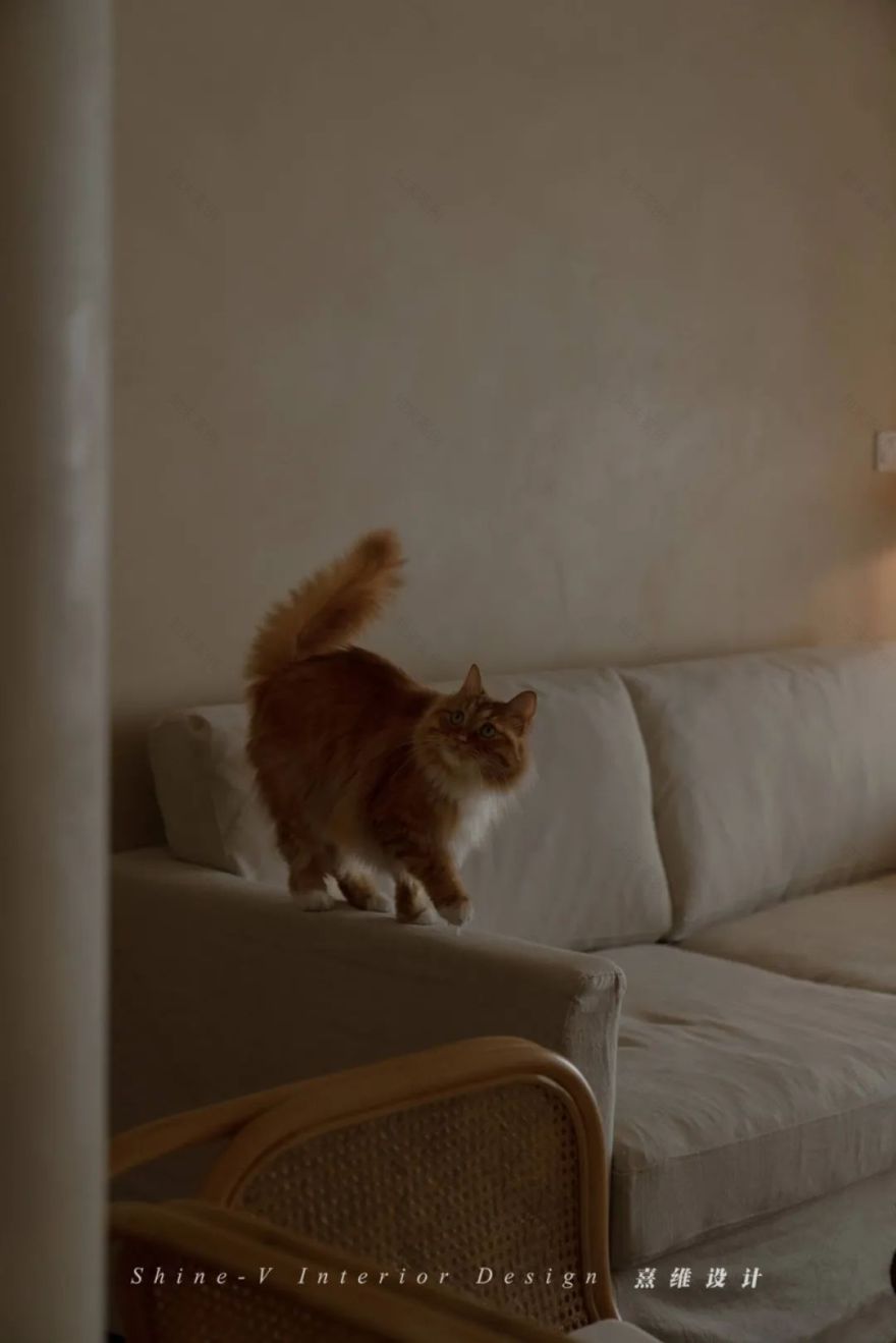 《织巢》 | 微水泥与贝壳砖的侘寂之美-49