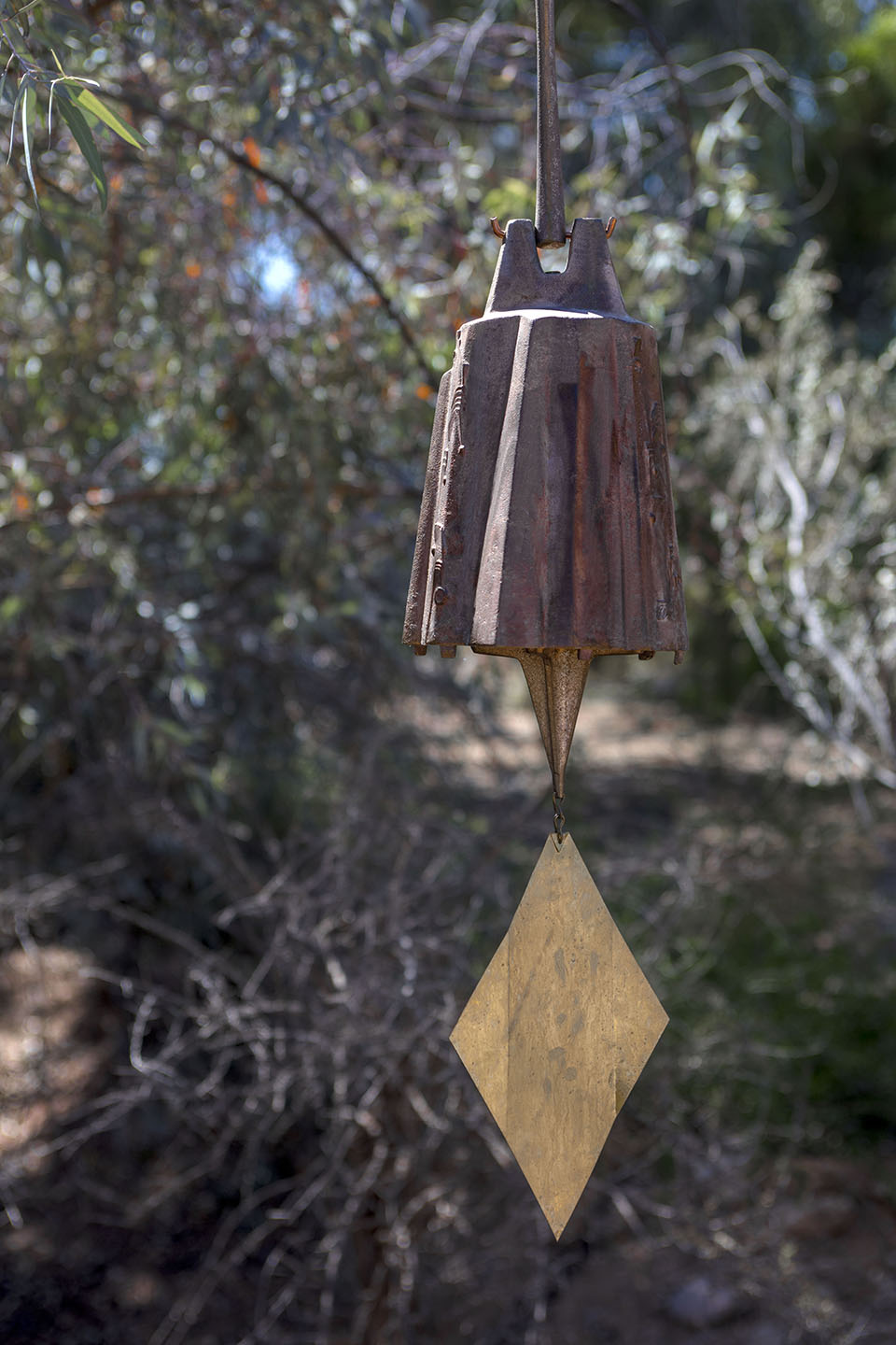 沙漠植物园一期丨美国-106