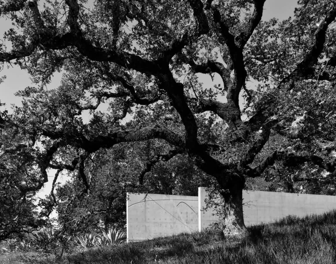 奥利弗牧场景观丨美国加利福尼亚丨不详-5