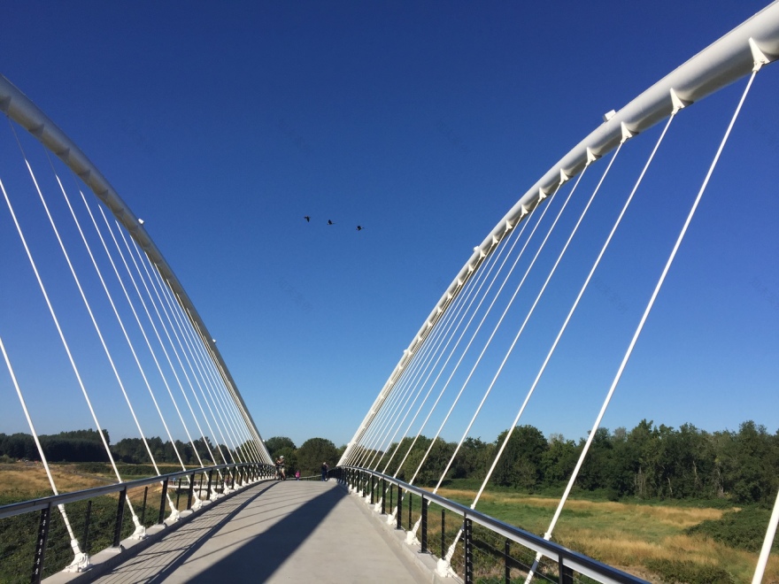 美国彼得·考特尼·明托岛自行车和人行天桥-35