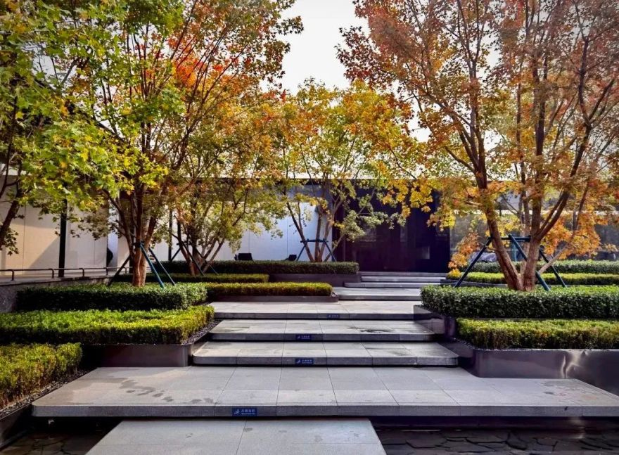 园路列植设计丨上景总工办-78