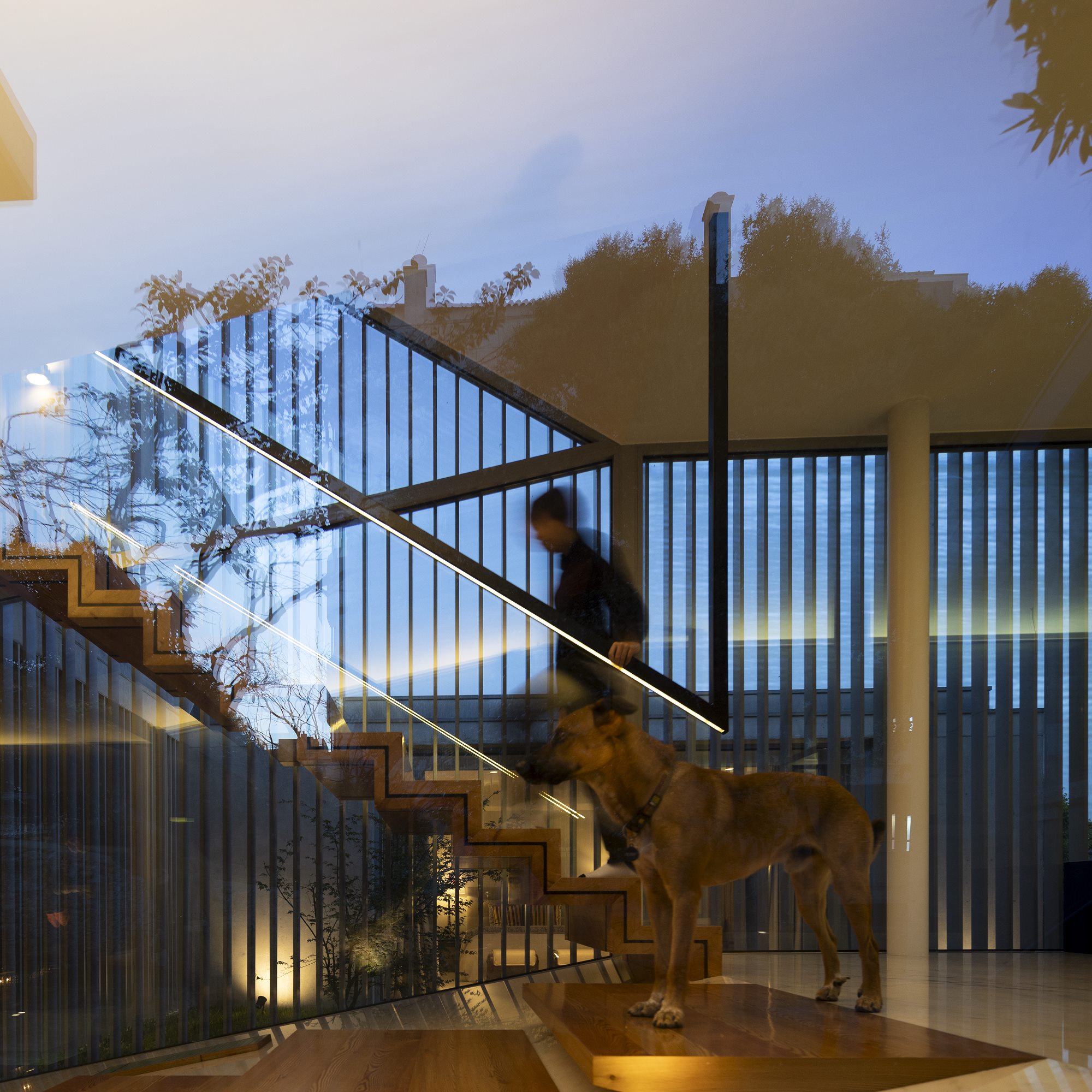 GC House | FCC Arquitectura-148