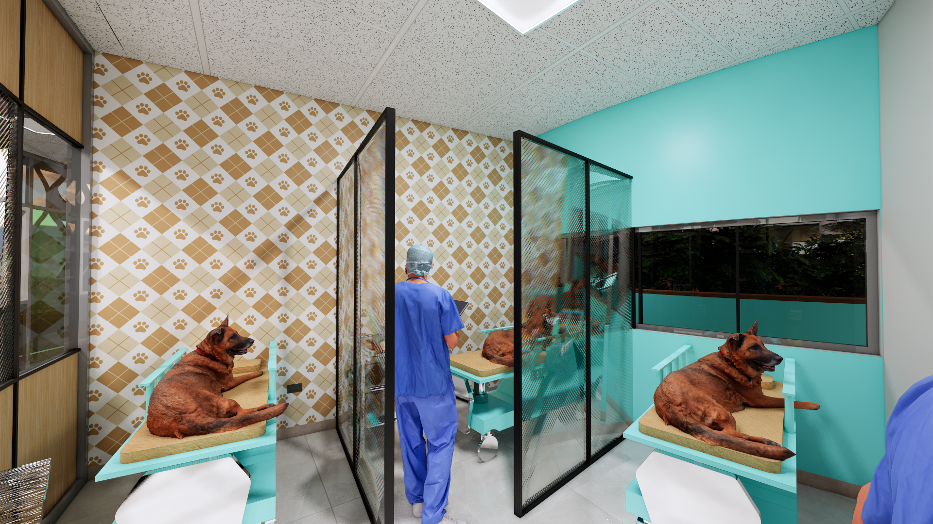 CENTRO DE ATENCION INTEGRAL-53