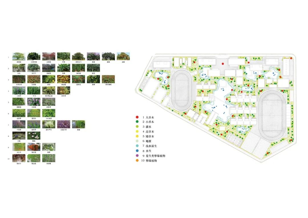 佛山一中顺德校区丨中国佛山丨陈东华建筑事务所+顺德院-72