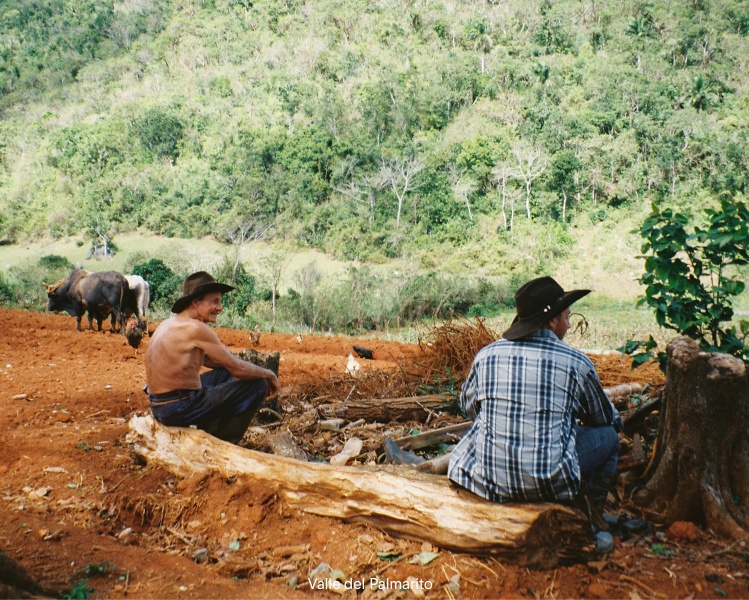 La Guasasa项目丨古巴丨Asociación Erentia（西班牙）,MLC（古巴）-34