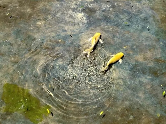 《青舍》精品客栈丨中国汉中丨西安本末装饰设计有限公司-31