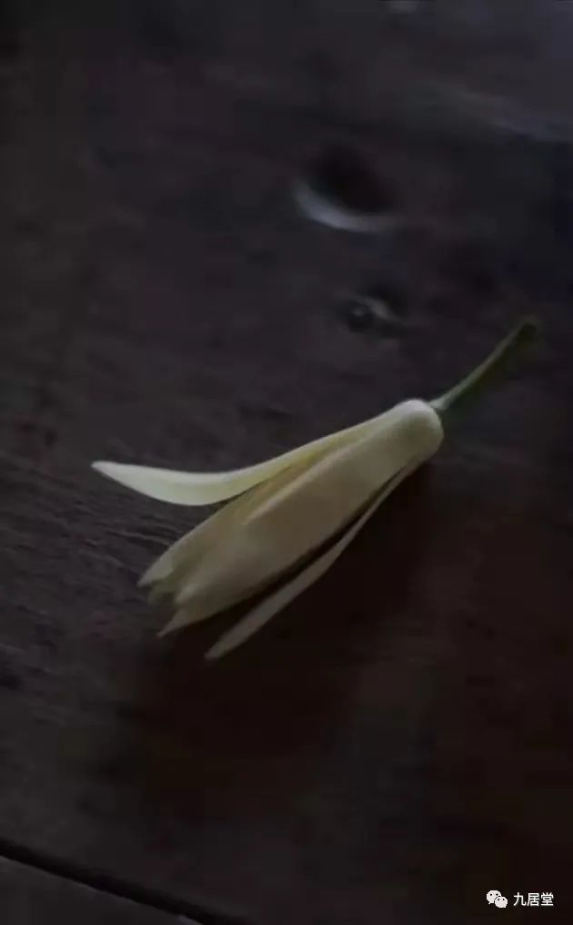 奢华与教养的分界 · 内心的奢侈丨中国-11