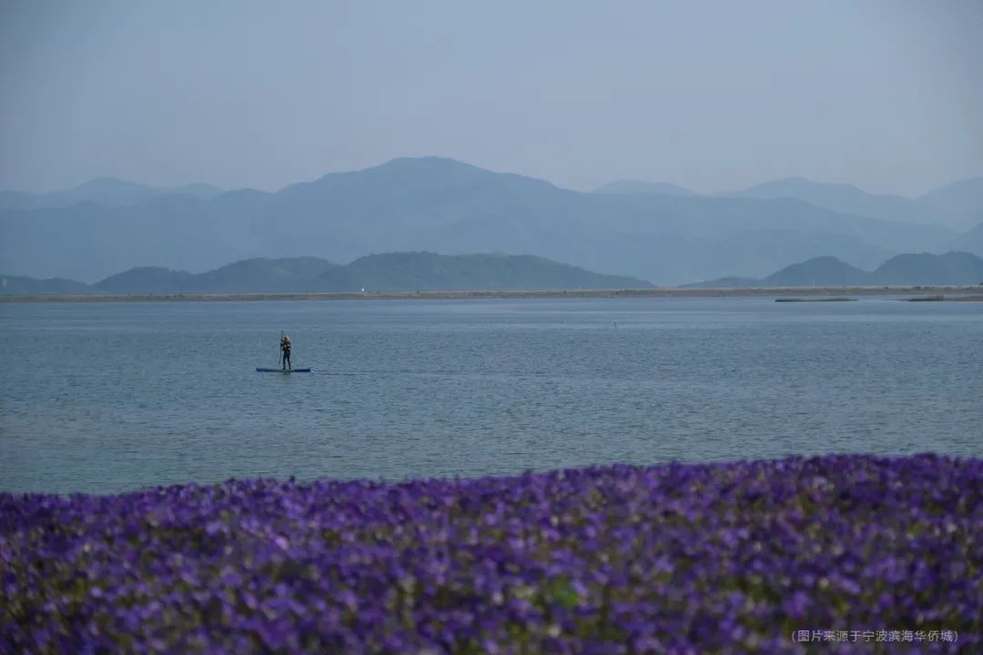 邂逅自然 | 宁波华侨城·欢乐滨海的自然景观设计-33