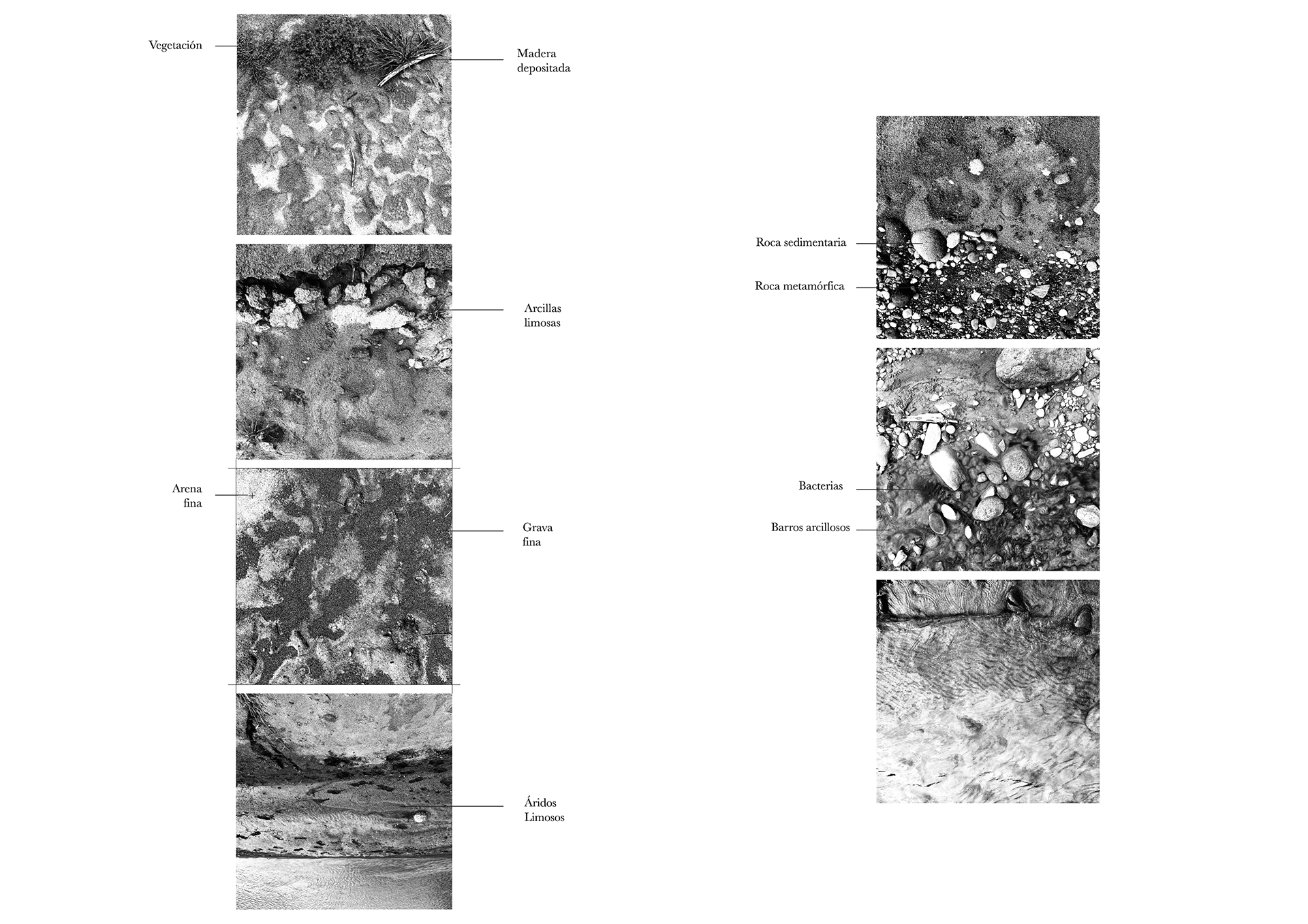 Sedimentos: Ecologías Performativas | Integrador Final-45