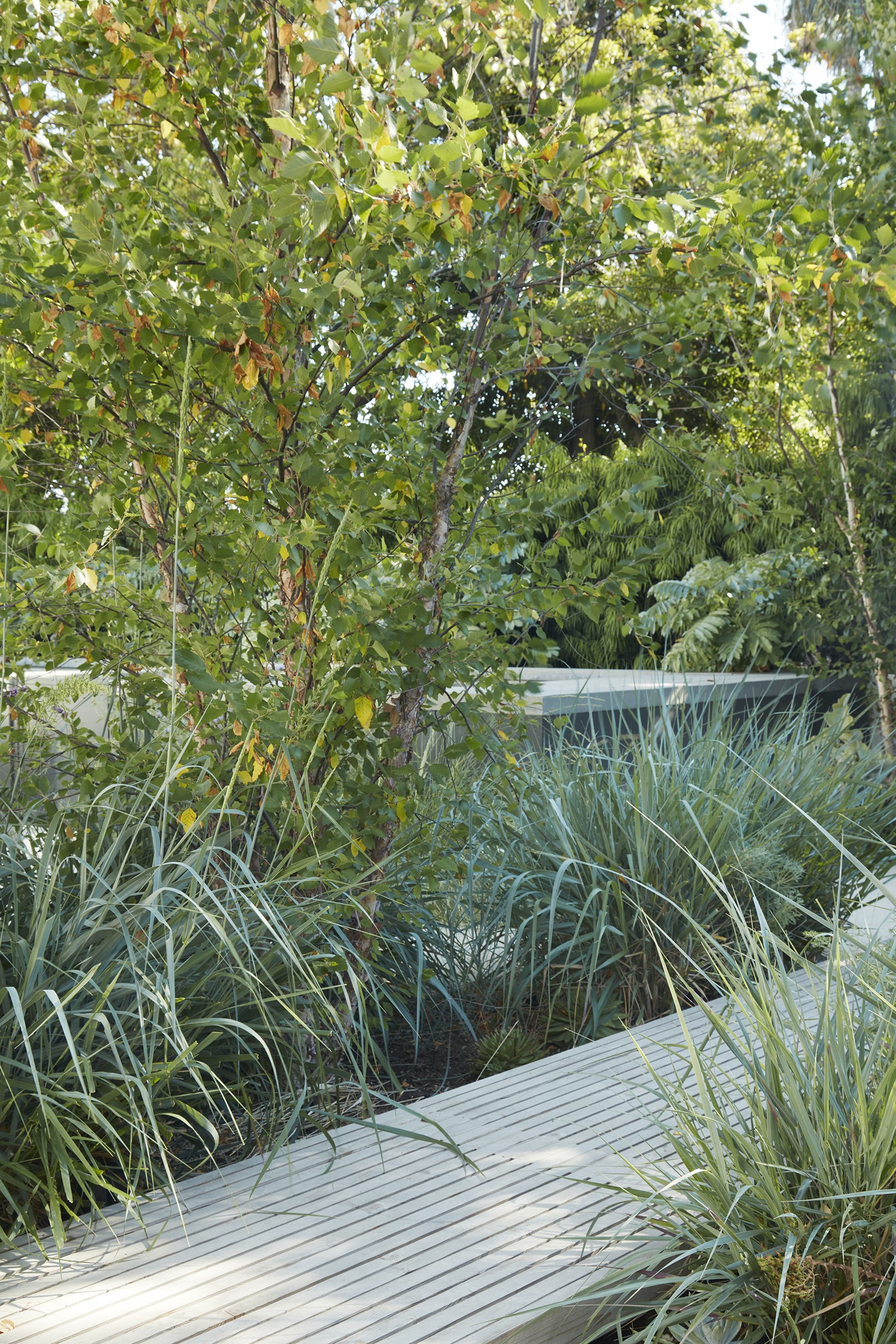 门前野趣丨TERREMOTO-68