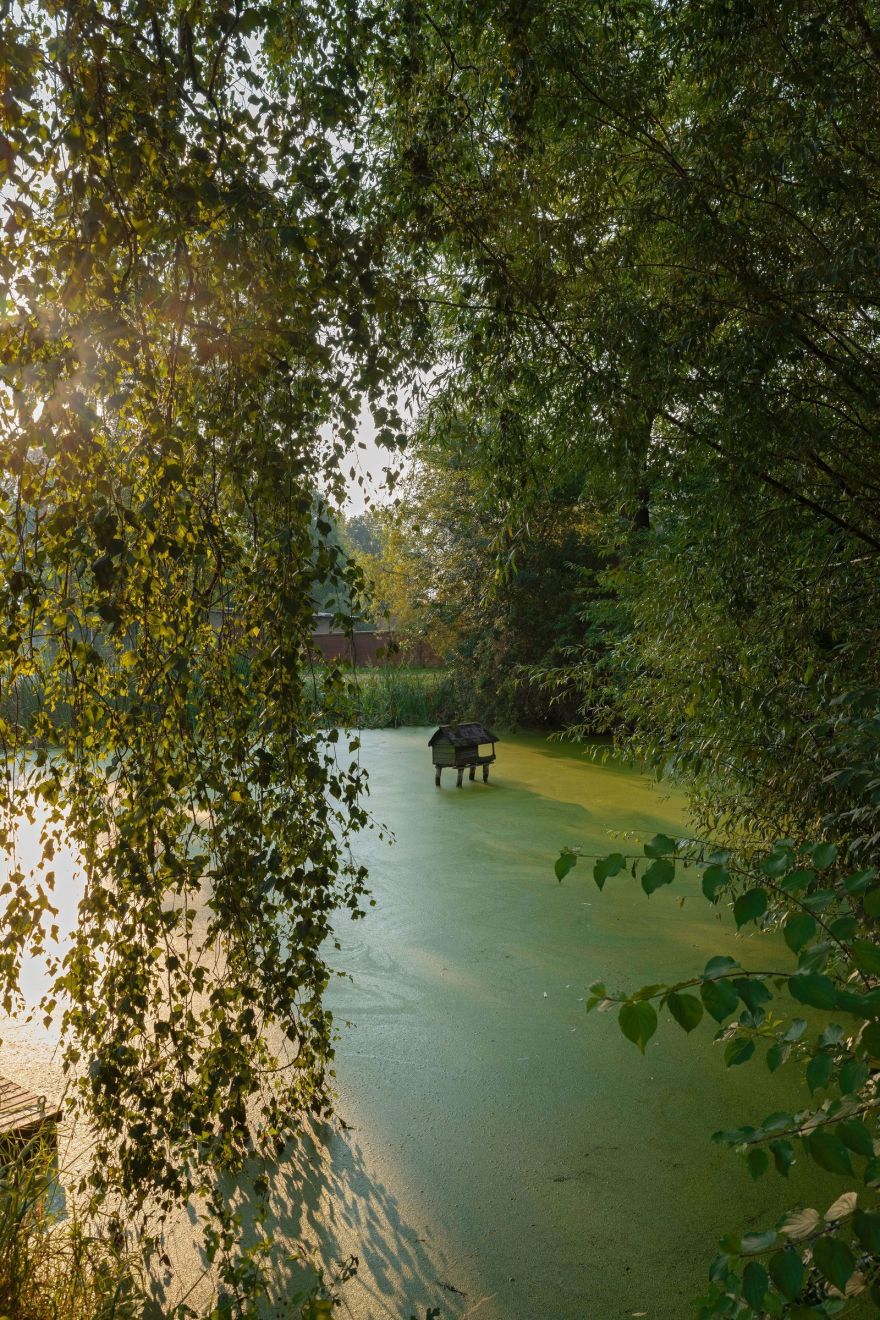 Studio Oink 200 年历史木构架房屋改造丨德国莱比锡-59