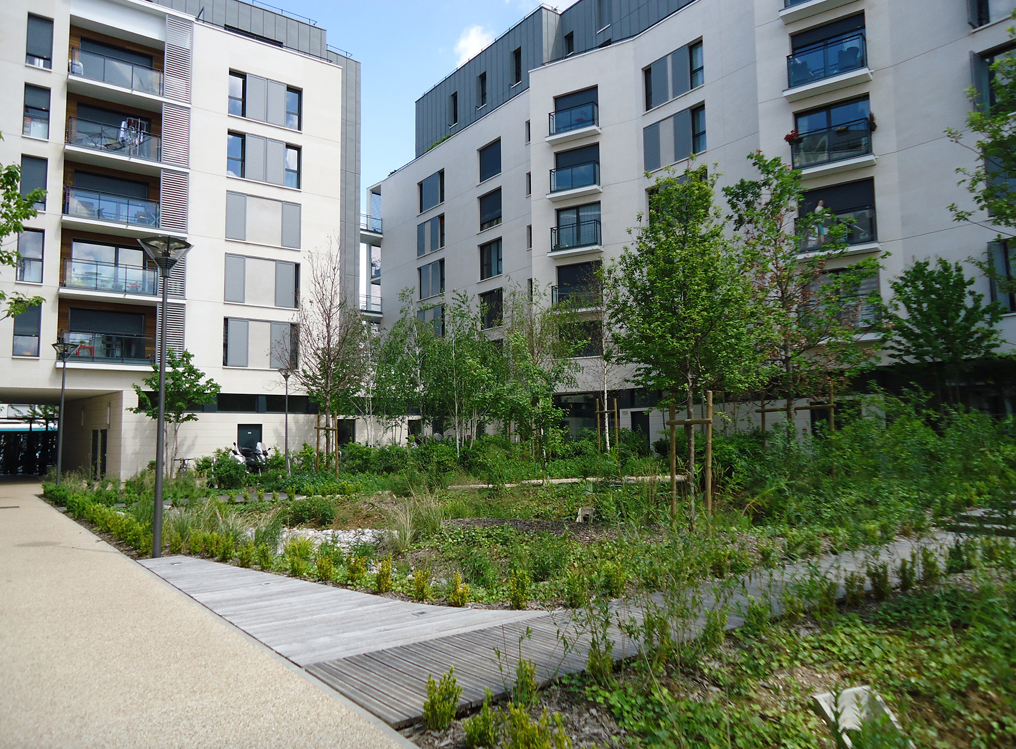 Programme de logements Cogedim - ZAC de la Marine - La Compagnie du Paysage-19