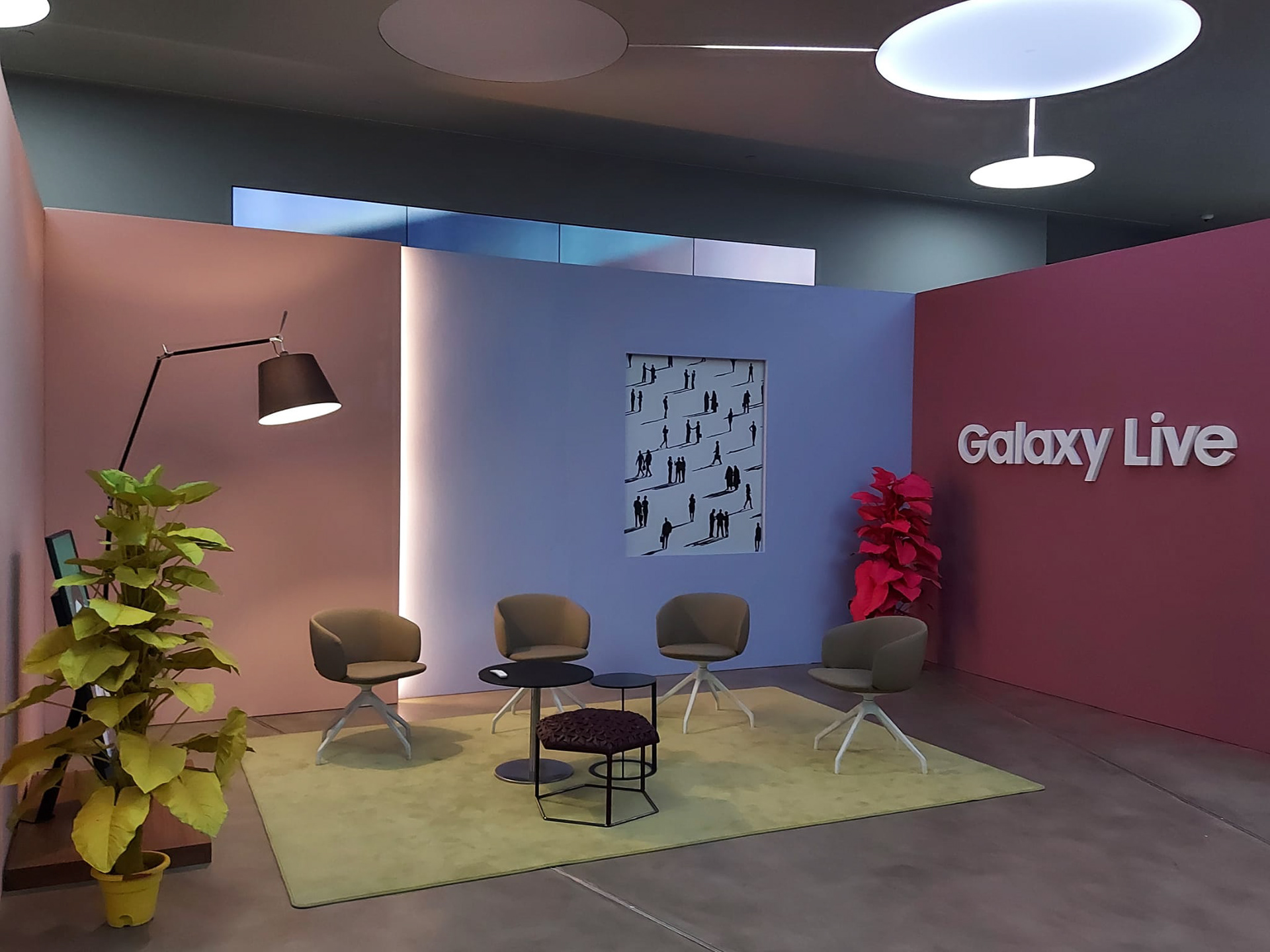 加拉·伊直播购物丨AlgeriaMila丨@Samsung District-17