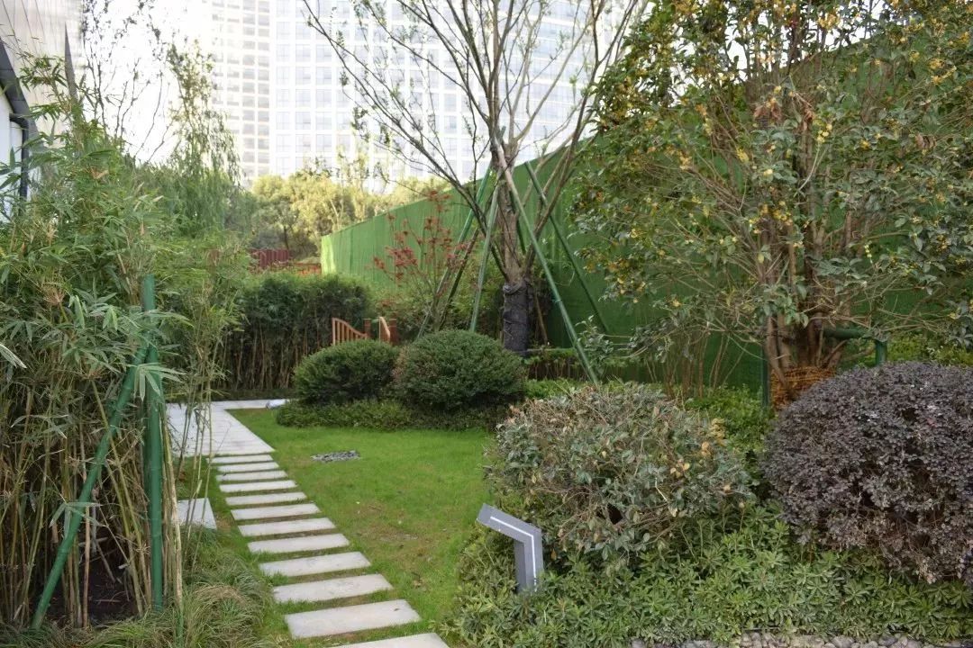 迪赛·东篱——新中式风格的庭院美学-41