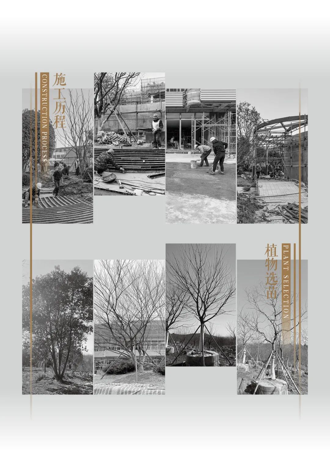 荣安·棠樾·光水雾影间的诗意栖居丨木杉设计-82