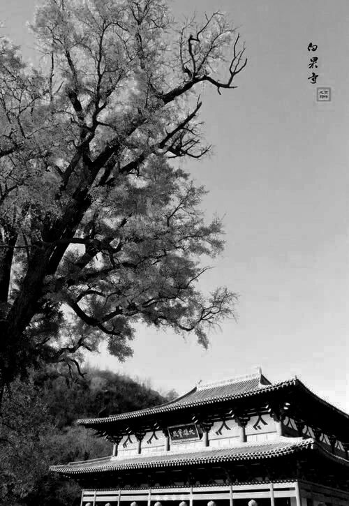 石家庄白果寺售楼部设计丨中国石家庄-6