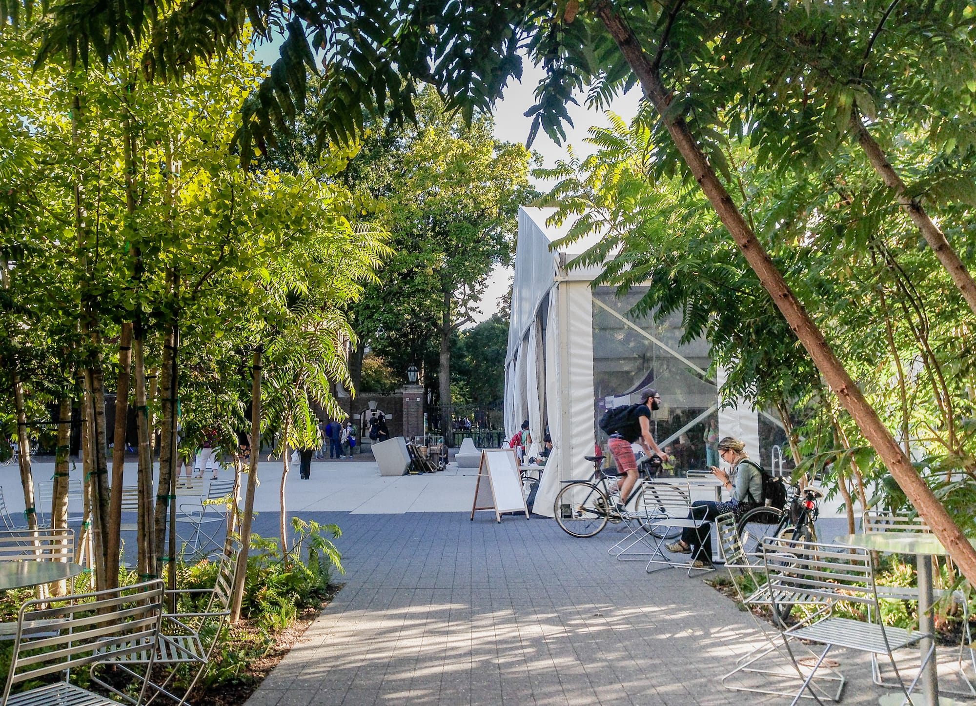 哈佛大学广场（Harvard University Plaza）-7