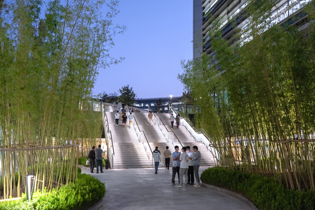 阿里巴巴北京朝阳科技园景观设计丨中国北京丨阿普贝思UP+S-53