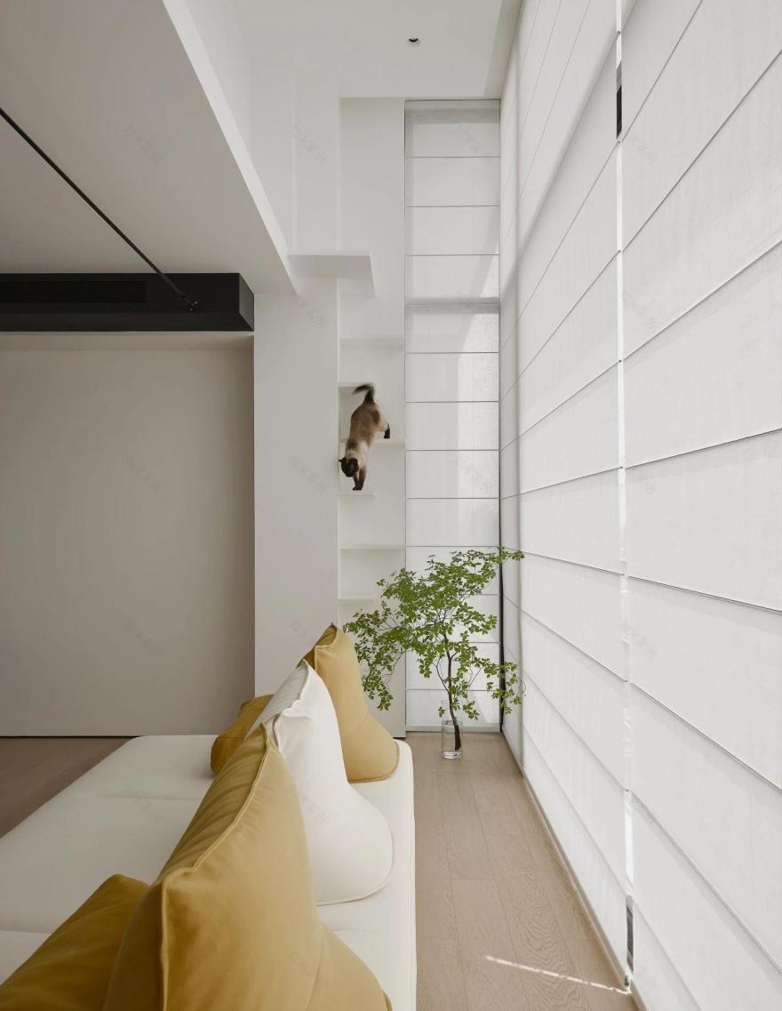 FF空间设计 · 人宠共居的极简宅-1