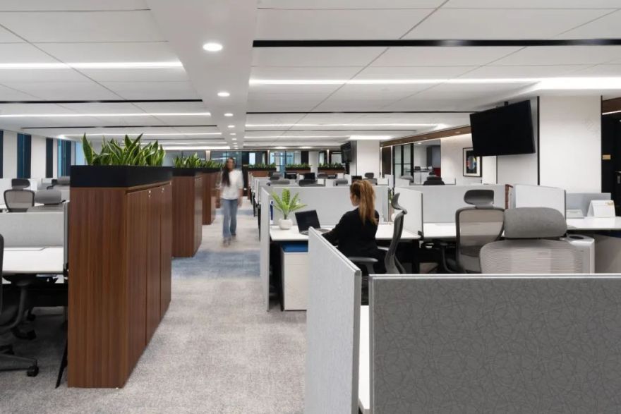 印度瑞士宝盛财富管理集团办公空间丨Space Matrix 团队-16