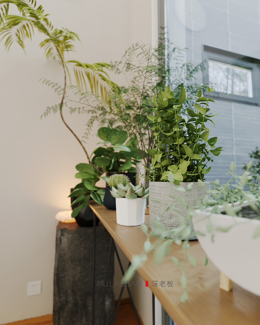 《偶有阳光》-5