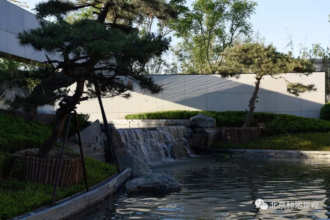 芝麻开门 一池藏三 | 合景·天汇广场示范区-55