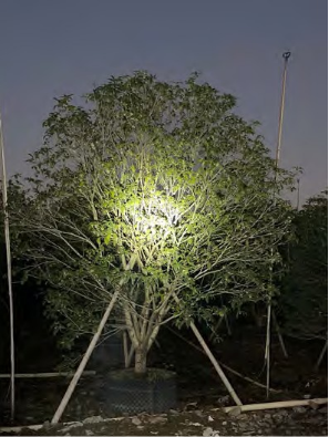 广州中海·左岸澜庭园区丨中国广州丨成都赛肯思创享生活景观设计股份有限公司-63