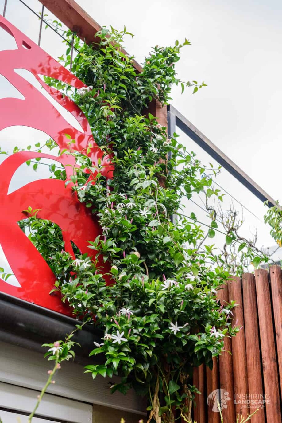 Hawthorn景观设计与施工项目丨Inspiring Landscape Solutions-11