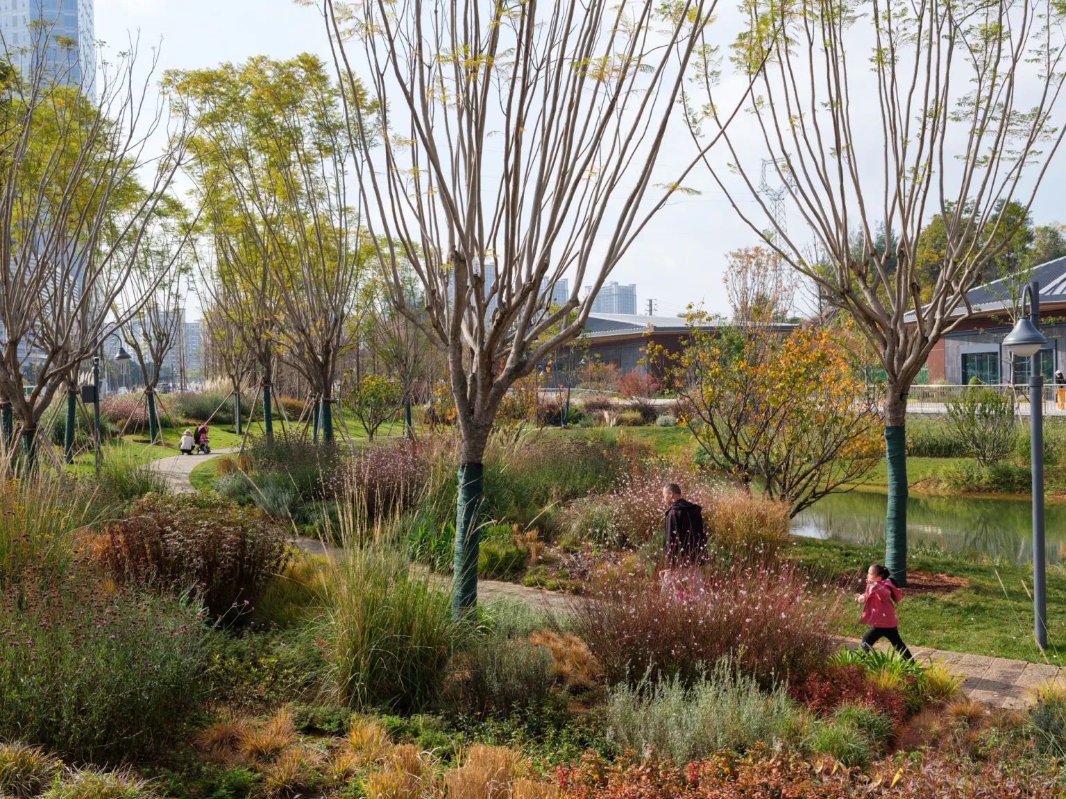 昆明呈贡沐春湖和泛春湖水环境整治丨中国昆明-24