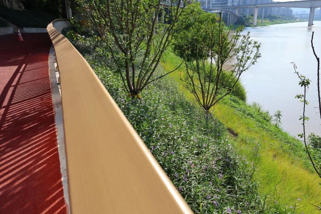 焕新！李子坝片区“两江四岸”治理提升工程基本完工-24
