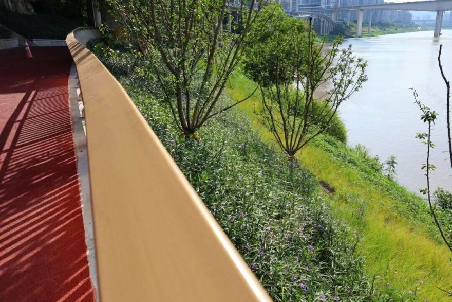 焕新!李子坝片区“两江四岸”治理提升工程基本完工-24