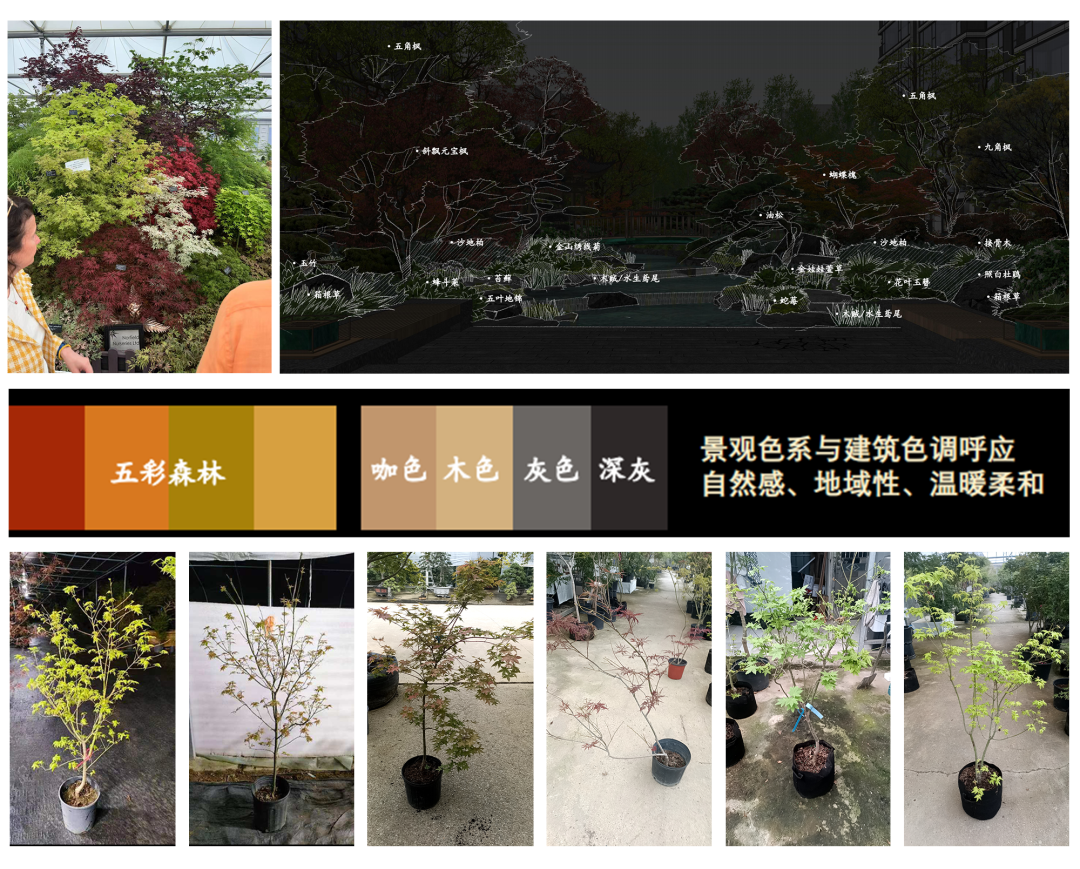 礼序东方 盛京游园 | 沈阳万科·胤樾-89