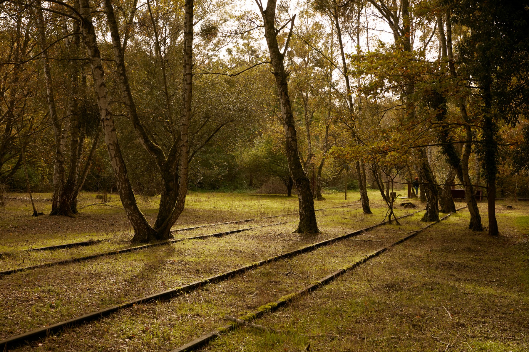 柏林南场地自然公园丨德国柏林-11