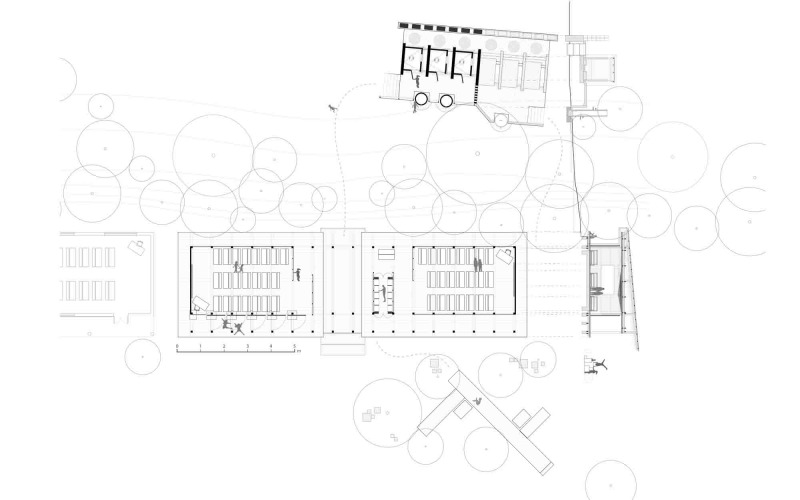 丨柬埔寨茶胶-16