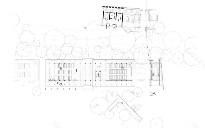 丨柬埔寨茶胶-16