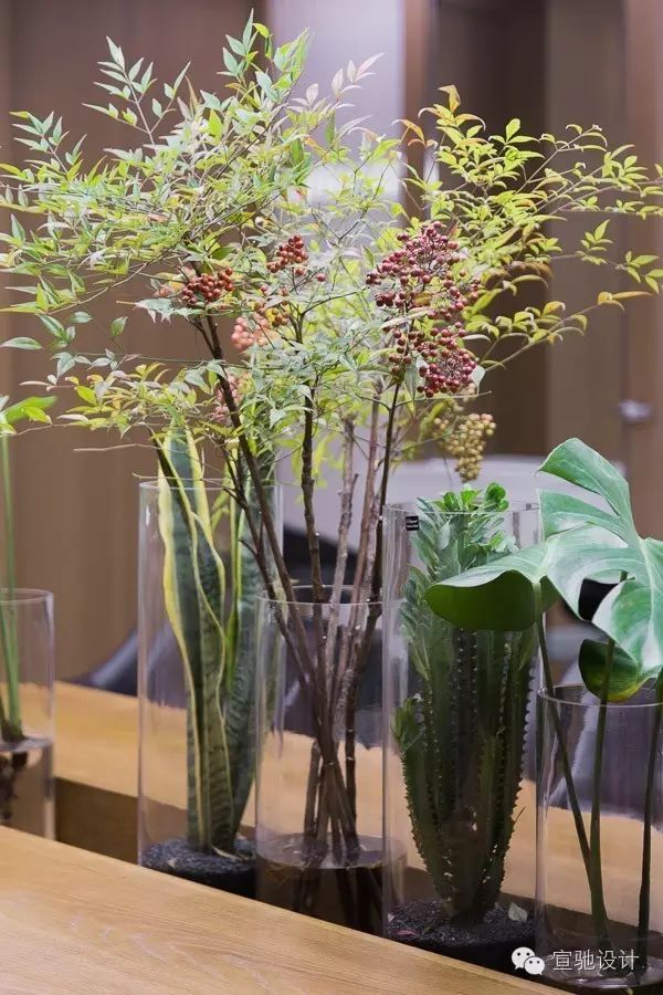 生活美学空间新体验—杜尚发型-19