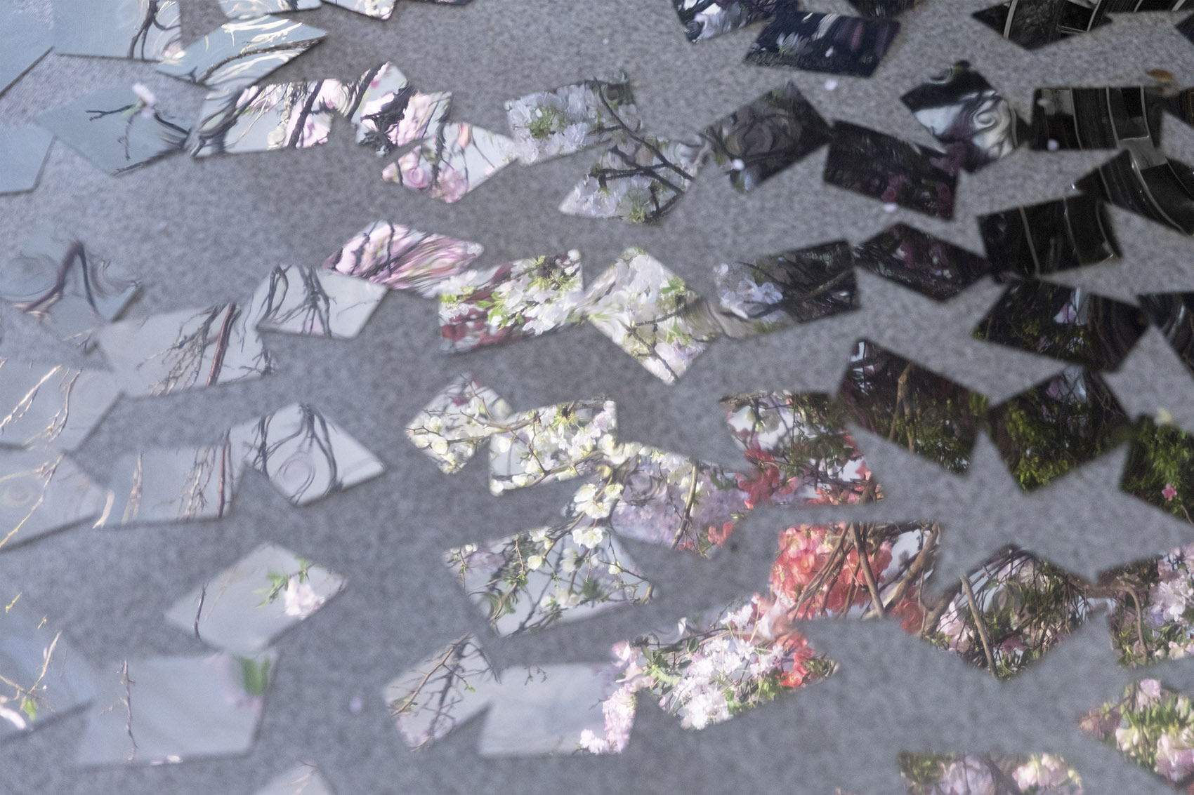 常青藤万花筒,花艺学校的展示空间 / nendo-21