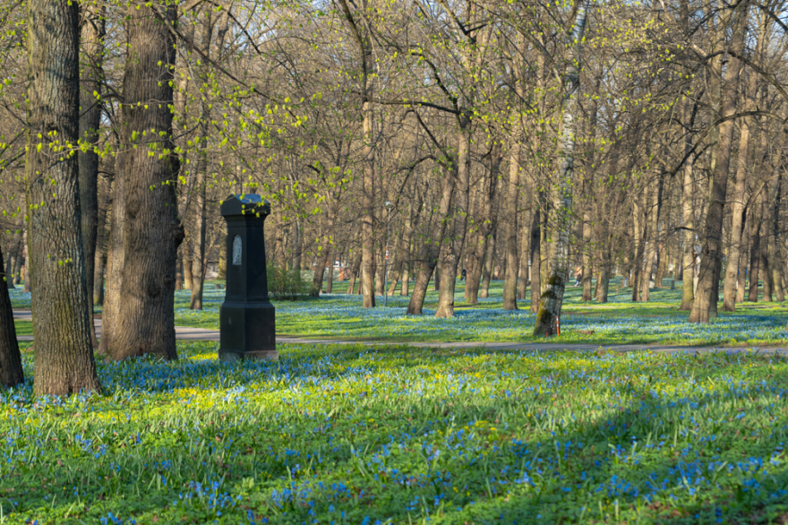 Izsludina metu konkursu Lielo kapu vērtību saglabāšanai ← FOLD-4