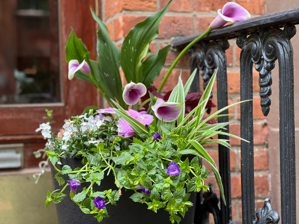 Brooklyn Heights reno-31