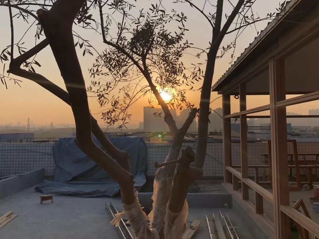 谢柯 | 自由生长的空间诗人-47