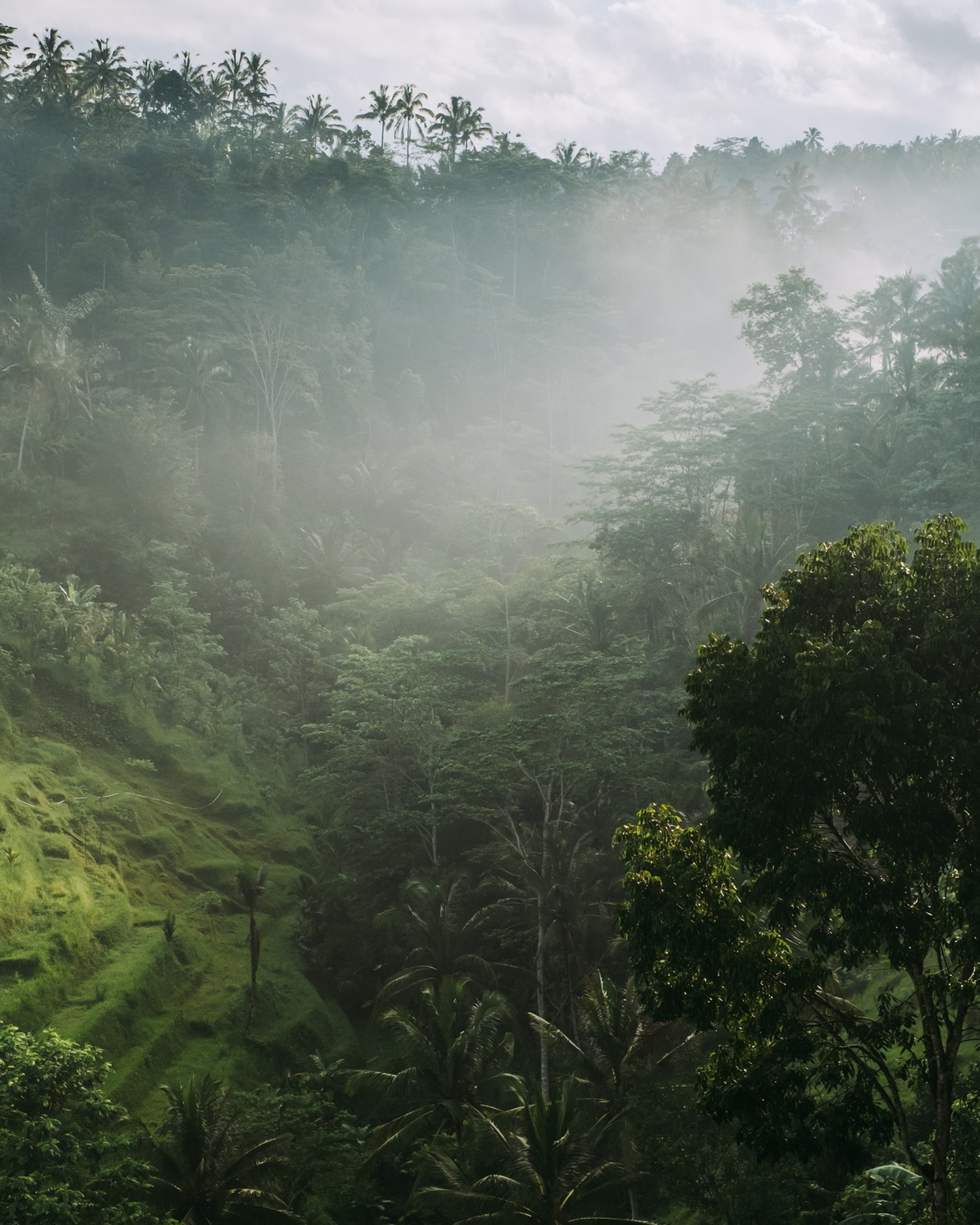 巴厘岛丛林避世酒店丨印度尼西亚巴厘-0