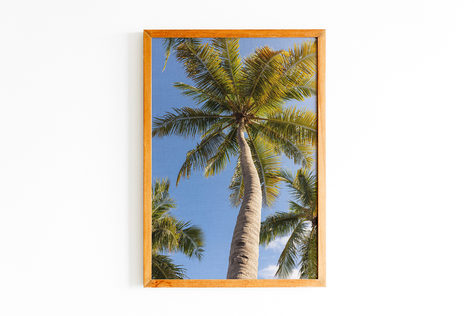 Simulações Quadros-3