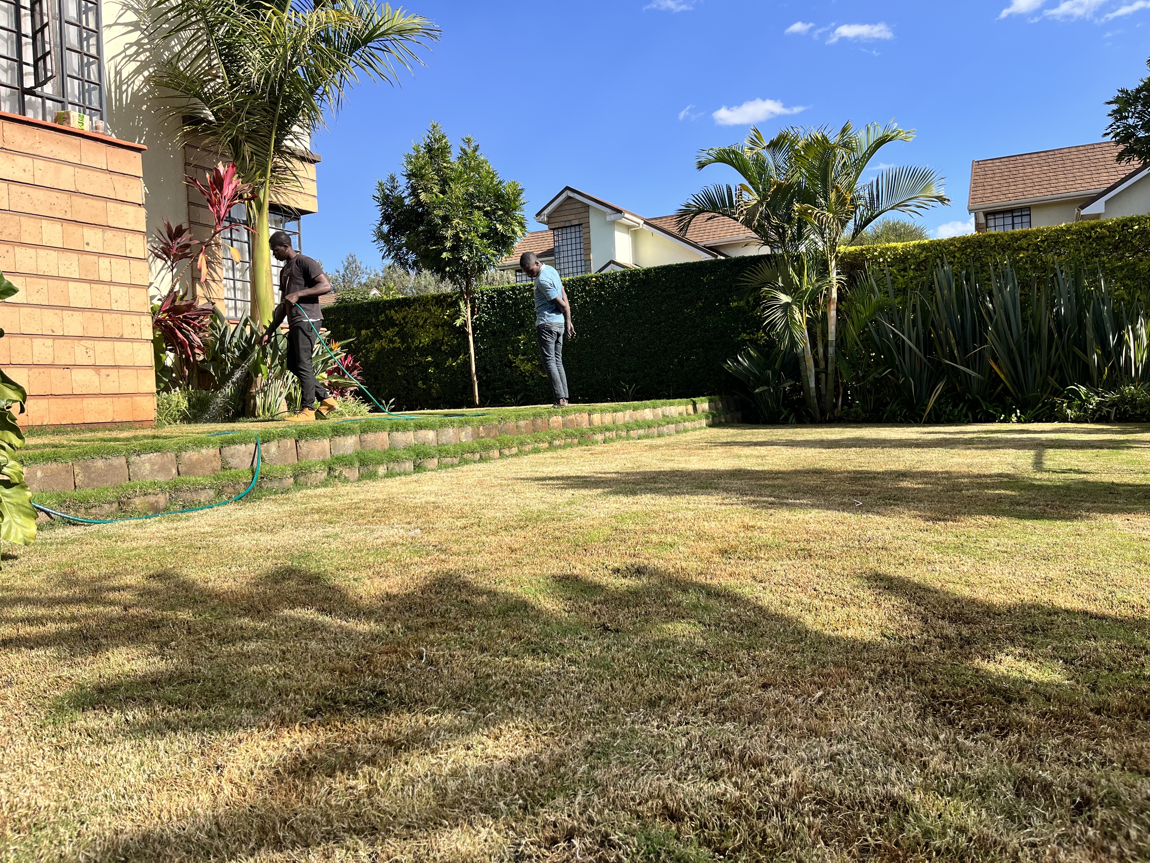 Lawn Top Dressing-7