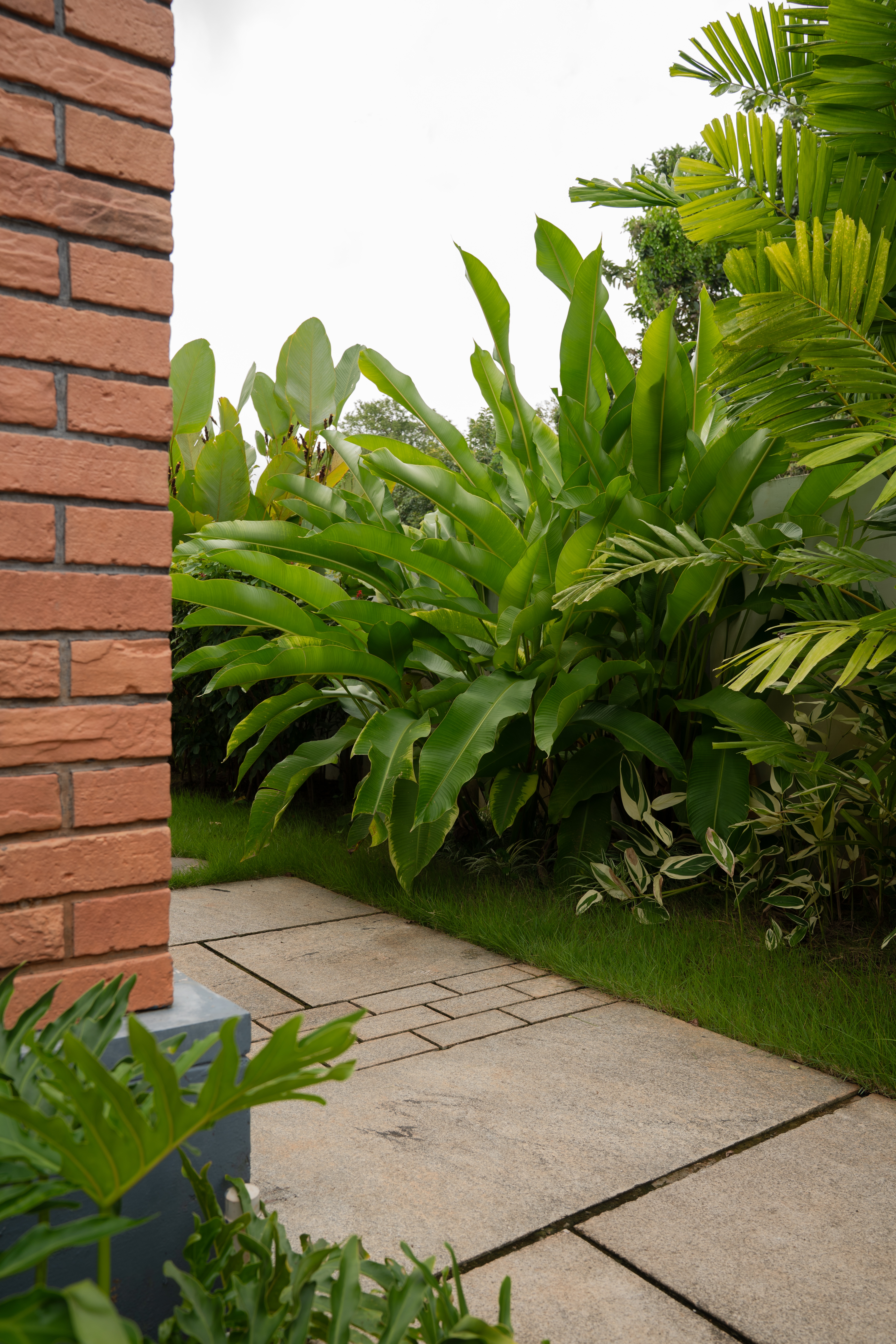 Landscaping by seedisland-1